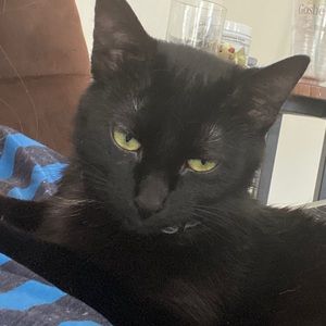 Meet your Posher, Georgia